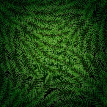 realistic-christmas-tree-branches-background_23-2148337866